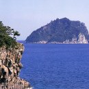 제주 삼도파초일엽 자생지 이미지