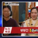 금송아지 이미지