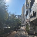 텐즈힐 애견미용 이미지