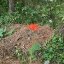 농소운동장 이미지