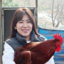 유라이크