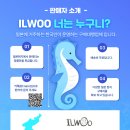 스토리에이피 이미지