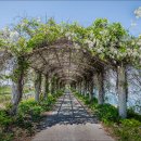 두월노을마을 이미지