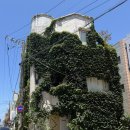 보테 | 제주 카페 보테 후기｜옥수수 밀푀유가 인상적이었던 제주시 감성 디저트 카페