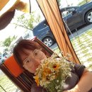 미르피아오토캠핑장 이미지