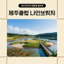 최고스크린골프 이미지