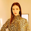 마이스터(MEISTER) 이미지