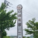 [충북/청주] 다래목장 | 내수읍 대형카페 수제요거트 맛집(이용꿀팁!)