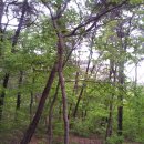 성지산공원 이미지