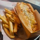 디지스도그 이미지