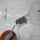 현장사무실 신축 | 천안준공청소 구축 사무실 입주청소로 신축 효과 만든 후기