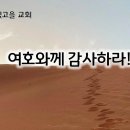 6월 29일(화) 여호와께 감사하라! 이미지