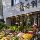 경희이호진한의원 | 대전 탄방동 꽃 플라워월드 답례꽃 구매 대전 꽃 다육