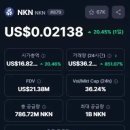 엔케이엔(NKN)