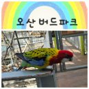 둥지파크 | [오산버드파크] 주말 아이들과 실내 나들이 &amp; 오산버드파크 후기