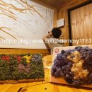 꿈in게스트하우스 이미지