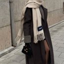 브라운코트