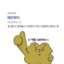 프레시린 | 린다이어트 6개월 후기 (내돈내산)