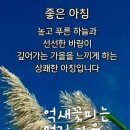 연신유도체육관 이미지