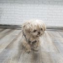 약목면사무소 이미지