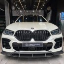 루스터 디테일링 이미지