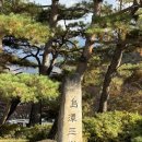 단양 가을 여행지 도담삼봉 관광 마차 체험 후기!