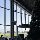 위드 핑(with ping) | 탄자니아 신혼여행_아루샤공항에서 세렝게티로! AURIC AIR(오릭에어) 경비행기 후기