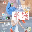 깡앤컷 | 내돈내산 SHEIN 쉬인깡 성공과 실패 후기 2탄 ｜ 추천템, 55사이즈, 착샷O