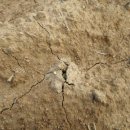 승용농장 이미지