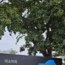 몽돌베이커리 이미지