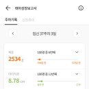 제제몰
