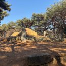 창원 최윤덕 묘역 이미지