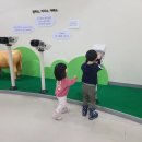 횡성한우체험관 네이버블로그