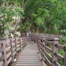 장가네더덕밥 이미지