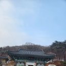할머니순대국 네이버블로그