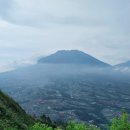 인생커피 이미지