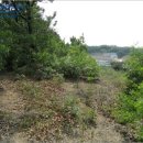 두원목장 이미지