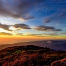 산의향기 네이버블로그