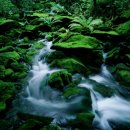 정선풍경 이미지