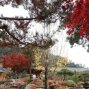 봉화황토테마파크 이미지