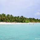 파라다이스 이미지