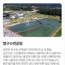 9**토요걷기(7/4)치악산 바람길숲 트레킹외 해설탐방갑니다(열차와 버스를 연계한 일정입니다-마감) 이미지