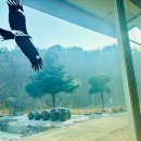 썸무인호텔 B동 | 체스터톤스 속초 레지던스 호텔 이용 후기 청초호에서 아침을