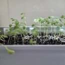 인동주유소 네이버블로그