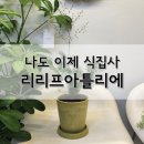 리리프아틀리에 이미지