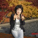 서울대학교 보건대학원 이미지