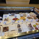 카페리코 이미지