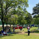 피크닉의 계절! 망원 한강공원 서울 함공원 피크닉하기 (망원동 포장음식 추천)