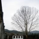 명석초등학교 이미지
