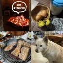 금오산참숯가마찜질방 | 양산 가볼 만한 곳 통도참숯가마 찜질방 삼겹살 강추 금요일 방문 후기